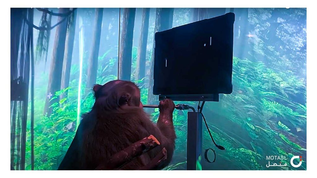 شريحة Neuralink مزروعة في القدر بادجر