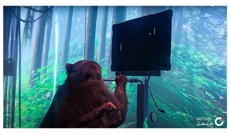 نيورالينك تنشر فيديو لقرد يلعب “بنج بونج” باستخدام عقله فقط